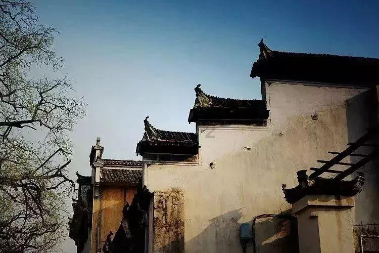你怎么看办公室恋情？游戏画面